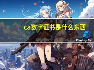 ca数字证书是什么东西