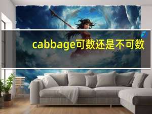 cabbage可数还是不可数