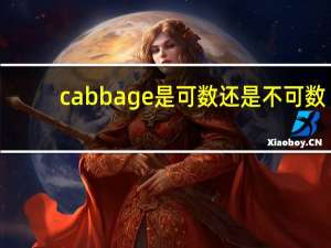 cabbage是可数还是不可数