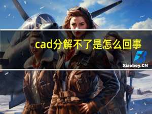 cad分解不了是怎么回事（cad分解）