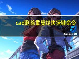 cad删除重复线快捷键命令（cad删除重复线快捷键）