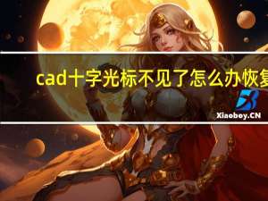 cad十字光标不见了怎么办恢复（cad十字光标不见了怎么办）