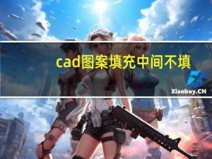 cad图案填充中间不填（cad图案填充避开文字）