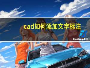 cad如何添加文字标注（cad如何添加打印机）