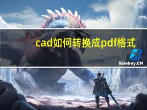 cad如何转换成pdf格式（cad转换成pdf）