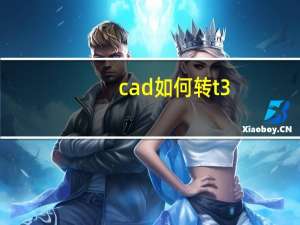 cad如何转t3