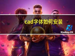cad字体如何安装（cad字体下载后怎么安装）