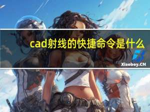 cad射线的快捷命令是什么（cad射线）
