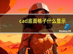 cad底面格子什么显示