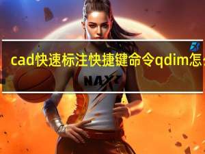 cad快速标注快捷键命令qdim怎么用（cad快速标注快捷键）
