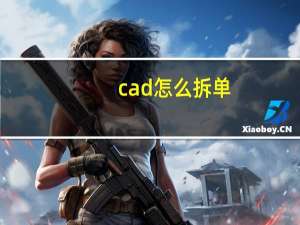 cad怎么拆单
