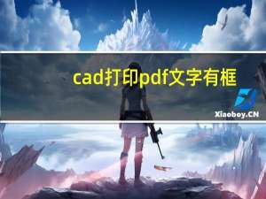 cad打印pdf文字有框（cad打印pdf文字不显示）