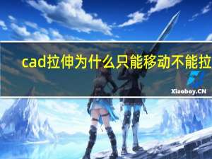 cad拉伸为什么只能移动不能拉伸