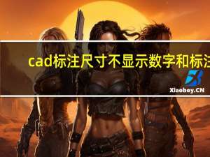 cad标注尺寸不显示数字和标注（cad标注尺寸不显示）