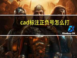 cad标注正负号怎么打（正负号怎么打）