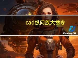 cad纵向放大命令