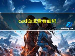 cad面域查看面积（cad面域）