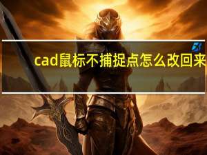 cad鼠标不捕捉点怎么改回来（cad鼠标捕捉不到点）