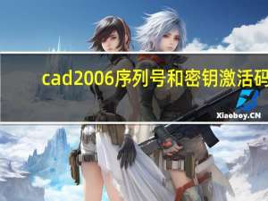 cad2006序列号和密钥激活码（cad2006序列号）