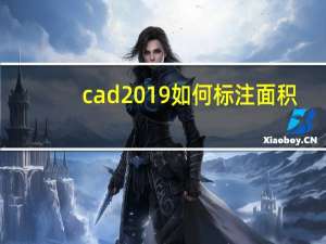 cad2019如何标注面积（cad中怎么快速标注面积）
