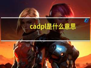 cadpl是什么意思（dpl是什么意思）