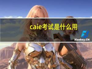 caie考试是什么用
