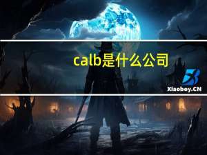 calb是什么公司