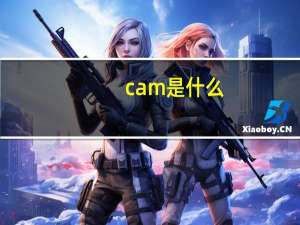 cam是什么
