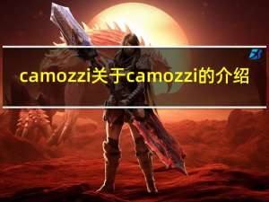 camozzi 关于camozzi的介绍