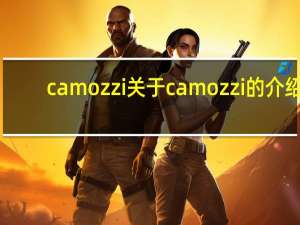 camozzi 关于camozzi的介绍