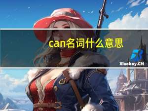 can名词什么意思