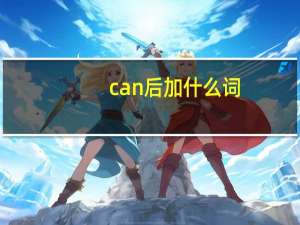 can 后加什么词