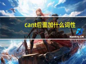 cant后面加什么词性