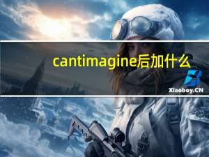 cant imagine后加什么