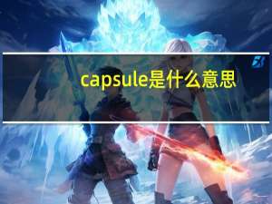 capsule是什么意思