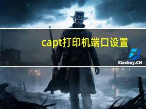 capt打印机端口设置（打印机端口设置）
