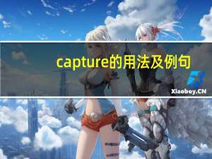 capture的用法及例句