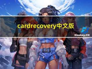 cardrecovery中文版（cardrecovery）