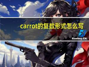 carrot的复数形式怎么写