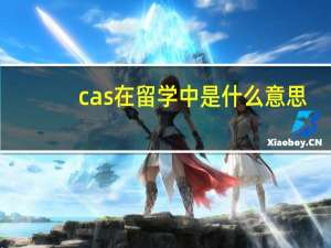 cas在留学中是什么意思