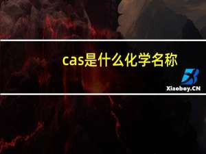 cas是什么化学名称