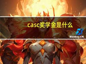 casc奖学金是什么