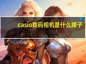 casio数码相机是什么牌子（casio数码相机）