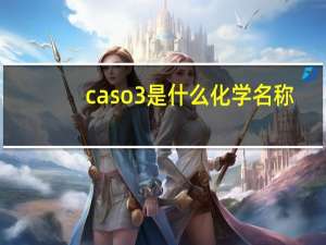 caso3是什么化学名称