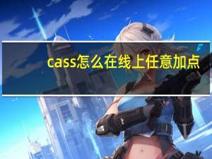 cass怎么在线上任意加点
