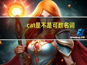 cat是不是可数名词