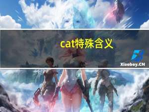 cat特殊含义