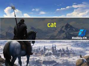 cat（eye）