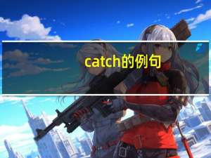 catch的例句