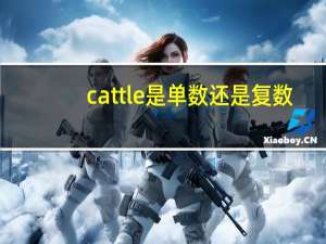 cattle是单数还是复数